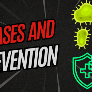 Read more about the article Understanding Diseases and Prevention: A Guide to Healthy Living